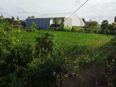 Disewakan tanah komersiil di Renon Bali