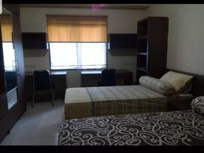 Disewakan Unit Studio Apartment Pinewood Jatinangor