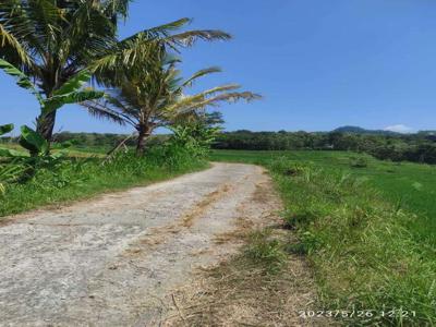 JUAL TANAH KULON PROGO DI NANGGULAN VIEW SAWAH DAN GUNUNG