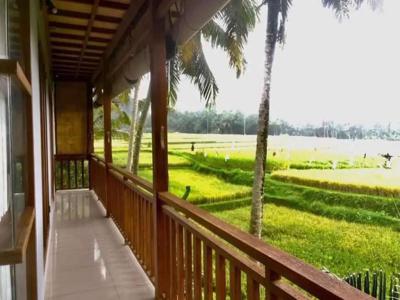 Sale villa berkelas 2lt 360m² ada pool view rice field ubud gg cinta