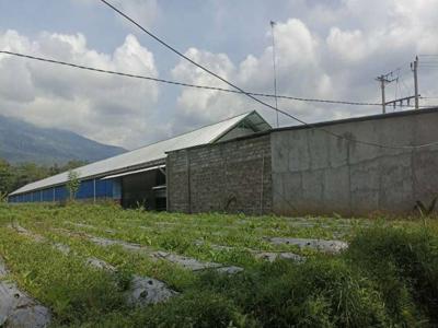 Tanah Dijual Industri Ternak Pertanian Semarang