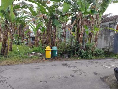 Tanah Dijual Pinggir Jalan Aspal di Pesantren