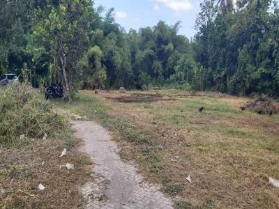 Tanah Jogja Dijual Area Kampus UMY,Kawasan Pusat Bisnis,Legalitas Aman