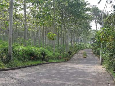 Tanah kavling adem konsep villa kebun teh