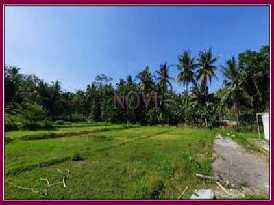 Tanah Kavling Jogja di Nanggulan Dekat Polsek Sentolo, SHM