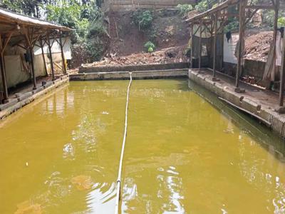 tanah kebun dan kolam ikan akses mobil pinggir jalan aspal