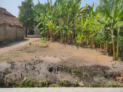 Tanah Nol Jalan desa Gayam Bangsal Mojokerto Siap Akad Balik Nama