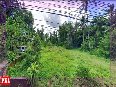 Tanah Pekarangan Belakang Kampus UII