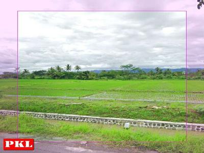 Tanah Pekarangan dekat Lampu Merah Gondangan Moyudan