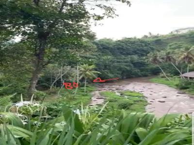 Tanah Premium Los Sungai Ayung Ubud Gianyar