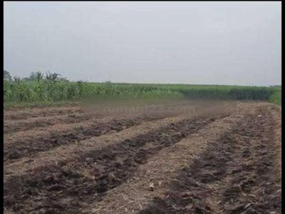 Tanah sawah plot industri mojokerto