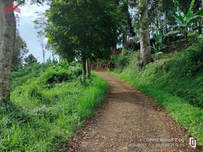 Tanah View Menawan Mekarmanik Cimenyan Oray Tapa Bandung