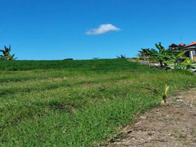 Tanah View Sawah Di Canggu Tumbak Bayuh Bali. Pererenan,Berawa.