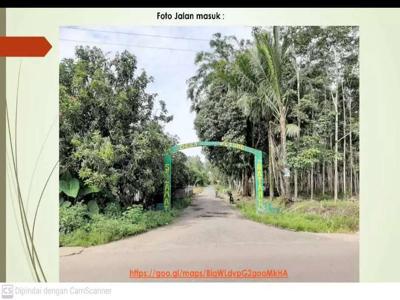 Dijual Cepat Tanah Perkebunan Luas di Gelumbang Sumatera Selatan