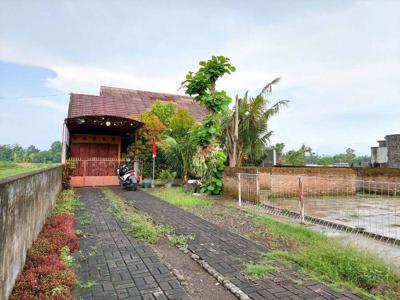 Rumah Asri Halaman Luas di Purwomartani