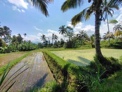 Dijual Lahan di Ubud