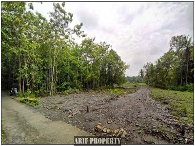 Tanah Murah Sentolo Kulon Progo, Dekat Pasar Nyonyol, View Sawah