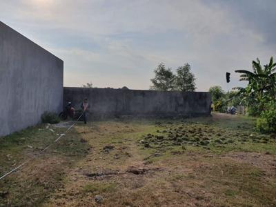 Tanah view sawah di Bumbak Umalas