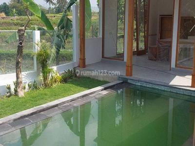 Brand New Villa for lease at pantai Munggu