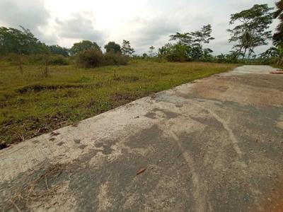 Cari Tanah 1 JUTAAN di Kulon Progo Jogja Temon