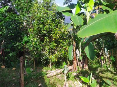 Dijual murah tanah,rumah saung sederhana dan empang di kaki gunung