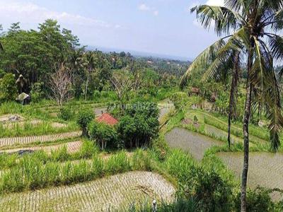 Dijual tanah 39,8are view sawah+danau @gianyar, Bali