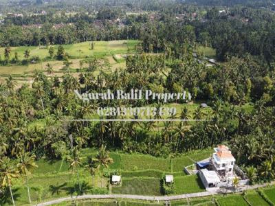 Land For Rent Murah Luas 500 M2 View Sawah dan Gunung di Pejeng