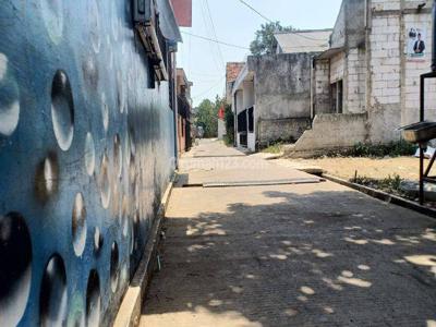 Tanah Depok Kawasan Cagar Alam Depok Bebas Banjir