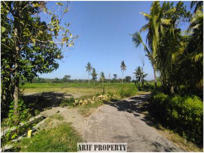 Tanah Dijual Kulon Progo, Dekat Balai Desa Tawangsari, SHM P