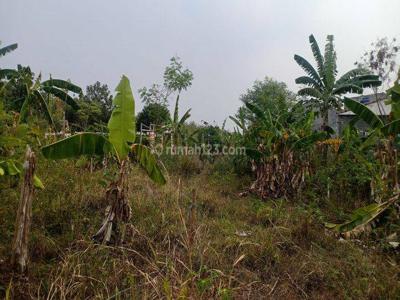 Tanah Investasi Area Jl Raya Bogor Bebas Banjir