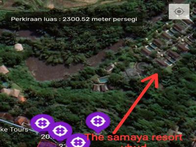 TANAH JUAL LOS SUNGAI ANAK AYUNG LOKASI DI SAYAN UBUD