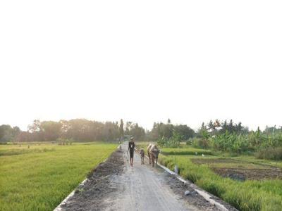 Tanah Kavling Sleman, Dekat Exit Tol Gamping, Tepi Aspal