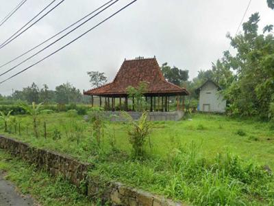 Tanah Luas Untuk Resto Dengan View Sawah Yogyakarta