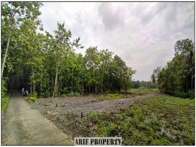 Tanah Murah Kulon Progo di Kawasan Industri Sentolo, Cocok Hunian