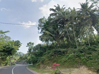 tanah murah,view istimewa.lokasi pinggir jalan raya dekat sungai mudal