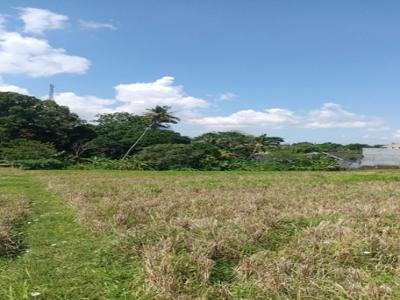 Tanah Premium dekat Pantai Nyanyi.