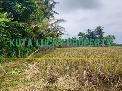 Dijual Segera!! Tanah view sawah area nyambu tabanan