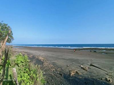 Tanah Los Pantai 5700m2 Perancak Jembrana Bali