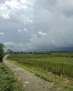 BALIKUBUCOM | AMS-059 Jual tanah sawah kavlingan luas 8are Desa Tista