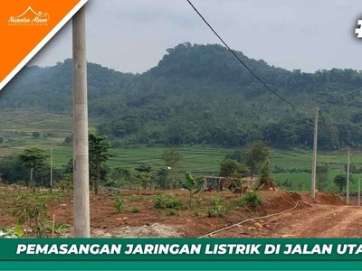Di Jual Kavling Tanah Harga Besahabat Lokasi Bogor
