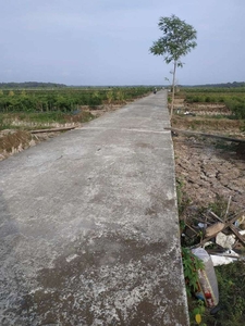 DI JUAL TANAH SAWAH MURAH DI KARANGWUNI WATES KULON PROGO