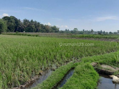 Dikontrakkan tanah jalan pantai kedungu