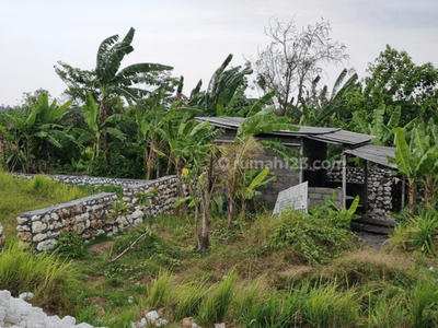 Disewakan Tanah Kosong Subuk Cemagi Badung, Bali