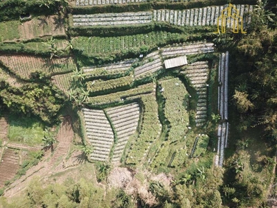 Jual Cepat Tanah Kebun Udara Sejuk View Gunung Harga Bawah Pasar Di Ci