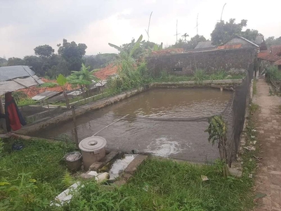 Jual Empang ikan siap pake