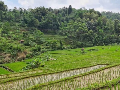 Jual Tanah Bandung Pemandangan Seperti Ubud Bali