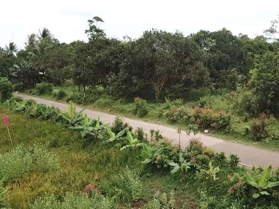 Jual Tanah Di Jalan Mekar Sari Daru, Tigaraksa - Tangerang, Banten