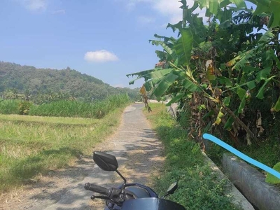 JUAL TANAH KULON PROGO DI GIRIMULYO VIEW SAWAH LOS