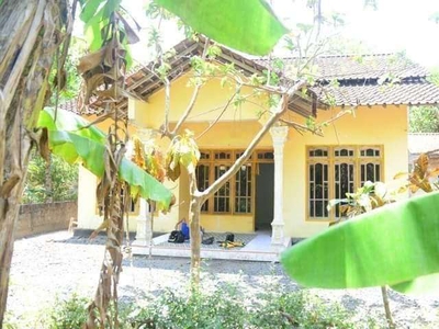 JUAL TANAH KULON PROGO DI SENTOLO BONUS RUMAH MURAH