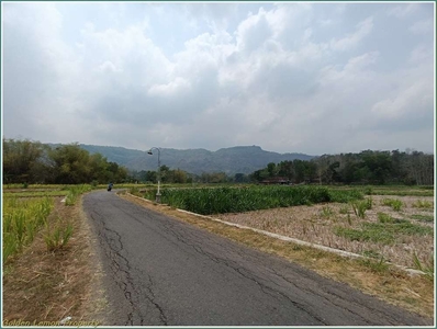 Selatan Polsek Pleret, Tanah Murah Bantul